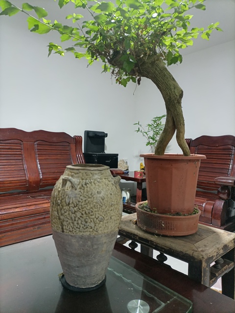 古玩陶瓷唐青釉四系罐拍賣,當前價格800元