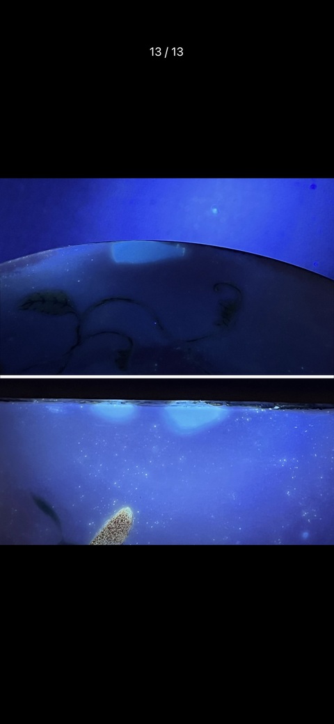 古玩陶瓷竹蝶癩瓜紋粉彩碗拍賣,當前價格13888元