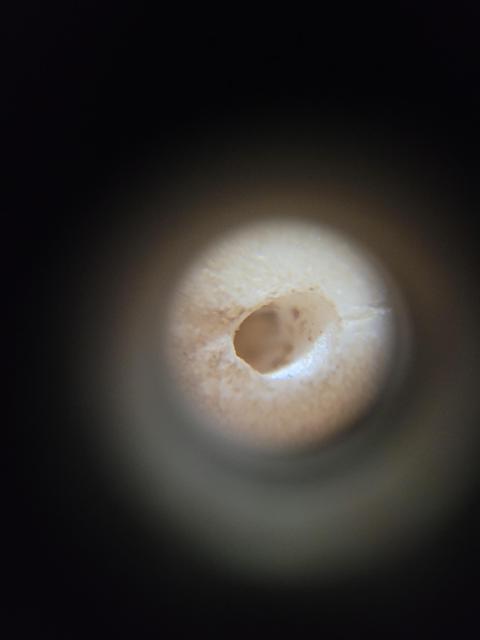 古玩玉器唐代玉帶扣一個(gè)特價(jià)拍賣，當(dāng)前價(jià)格699元