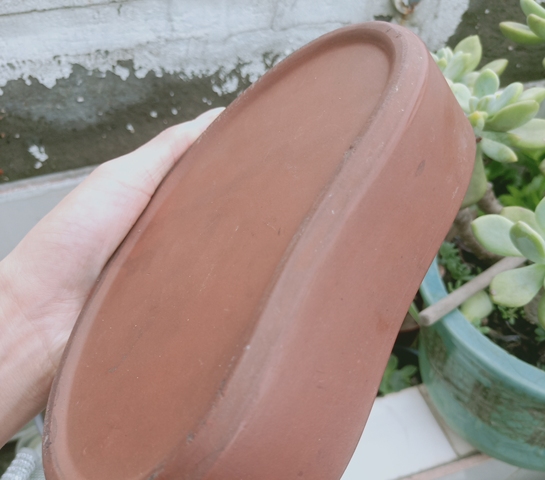 古玩陶瓷建國紫砂水仙盆拍賣，當(dāng)前價(jià)格987元