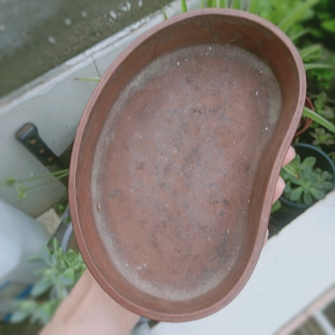 古玩陶瓷建國紫砂水仙盆拍賣，當(dāng)前價(jià)格987元