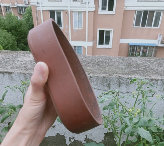 古玩陶瓷建國紫砂水仙盆拍賣，當(dāng)前價(jià)格987元