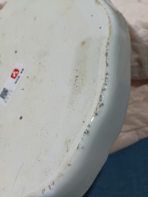 古玩陶瓷山水紋盤拍賣，當前價格399元