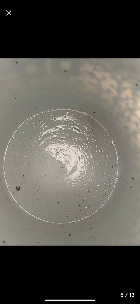 古玩陶瓷青花淡描花卉紋喜字罐真品鑒賞圖