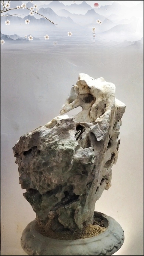 古玩雜項賞石拍賣,當(dāng)前價格1600元