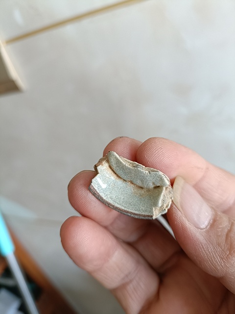 古玩陶瓷南宋官窯標本拍賣，當前價格198元