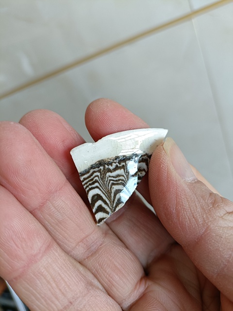 古玩陶瓷館藏級南宋當陽峪攪胎羽毛紋口沿標本【精品】拍賣,當前價格299元