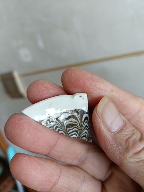 古玩陶瓷館藏級南宋當陽峪攪胎羽毛紋口沿標本【精品】拍賣,當前價格299元