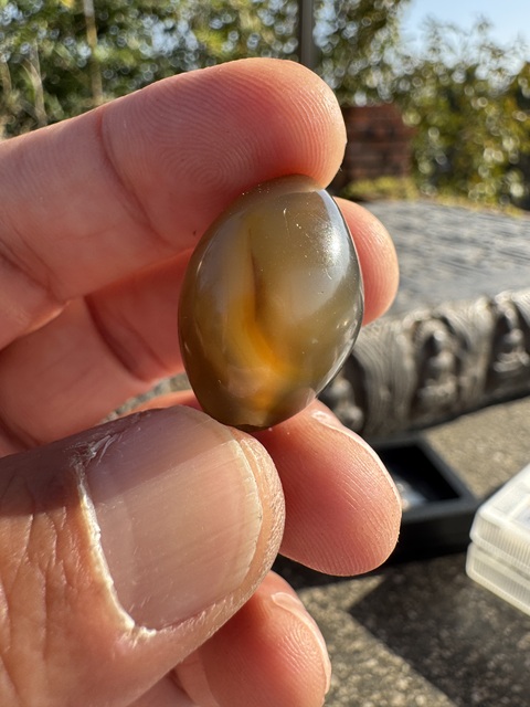 古玩玉器明、橄欖珠（珠博認證）拍賣，當前價格3500元