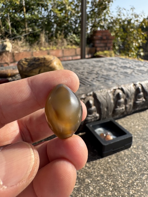 古玩玉器明、橄欖珠（珠博認證）拍賣，當前價格3500元