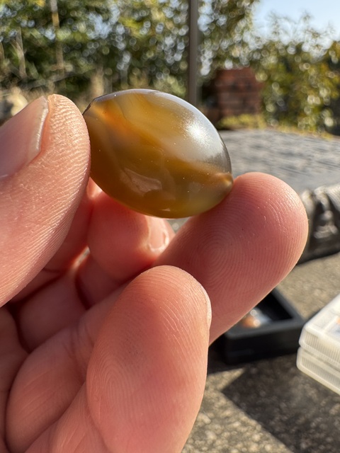 古玩玉器明、橄欖珠（珠博認證）拍賣，當前價格3500元