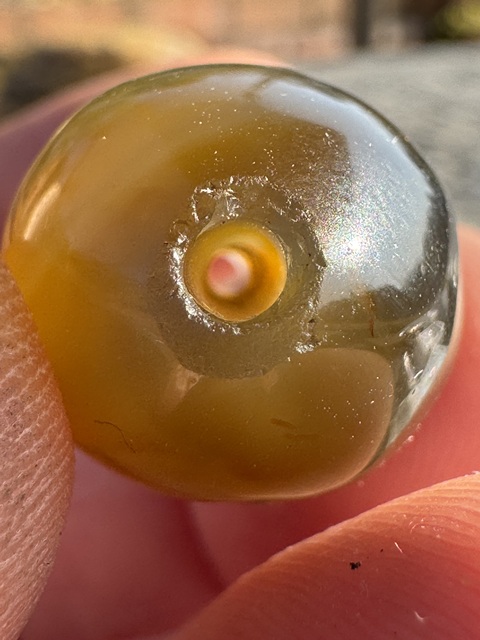 古玩玉器明、橄欖珠（珠博認證）拍賣，當前價格3500元