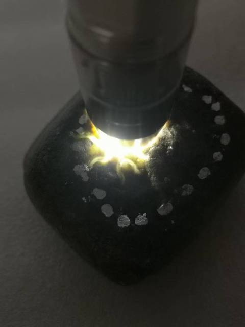 古玩玉器天然翡翠原石料拍賣，當前價格298元