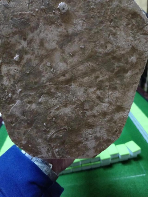 古玩陶瓷唐·三彩鎮魔獸拍賣,當前價格35000元