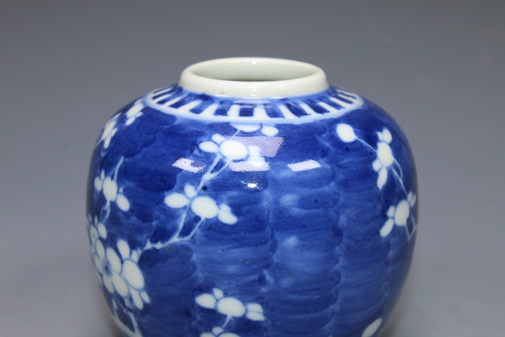 古玩陶瓷清·青花留白折枝冰梅紋罐拍賣(mài),當(dāng)前價(jià)格1980元