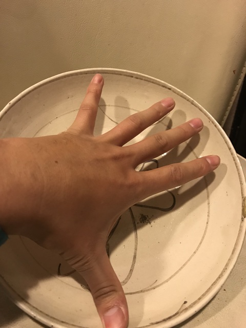 古玩陶瓷明代磁州窯白地黑花盤拍賣，當前價格280元