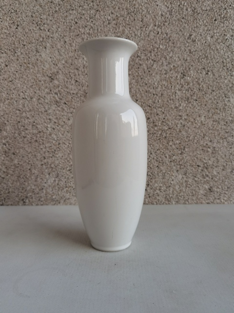 古玩陶瓷白釉盤口瓶拍賣，當(dāng)前價(jià)格220元