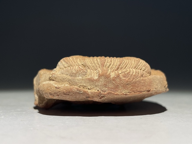 古玩雜項(xiàng)明代.六字真言擦擦(唵嘛呢叭咪吽) 觀世音菩薩心印拍賣,當(dāng)前價(jià)格0元