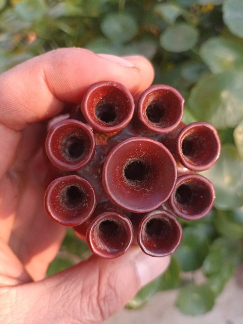 古玩陶瓷多孔瓶拍賣,當前價格0元