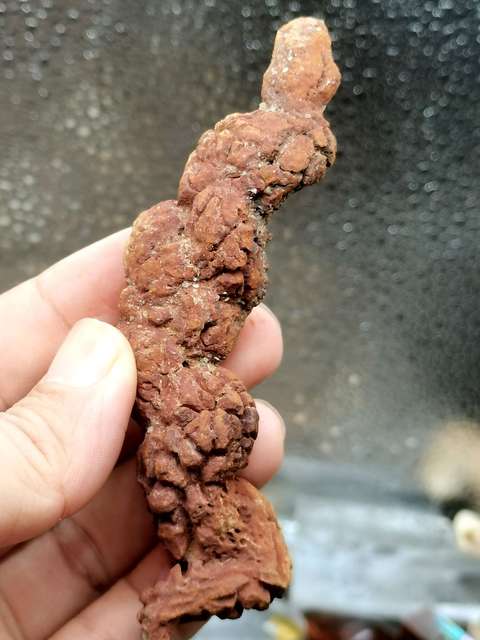古玩雜項恐龍糞便hua石(來自幾百萬年前) 你見龍屎嗎?拍賣,當前價格0元