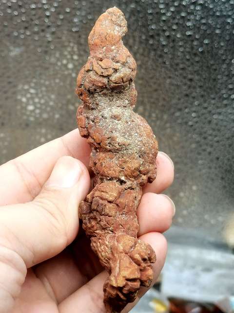古玩雜項恐龍糞便hua石(來自幾百萬年前) 你見龍屎嗎?拍賣,當前價格0元