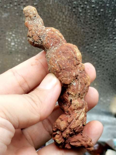 古玩雜項恐龍糞便hua石(來自幾百萬年前) 你見龍屎嗎?拍賣,當前價格0元