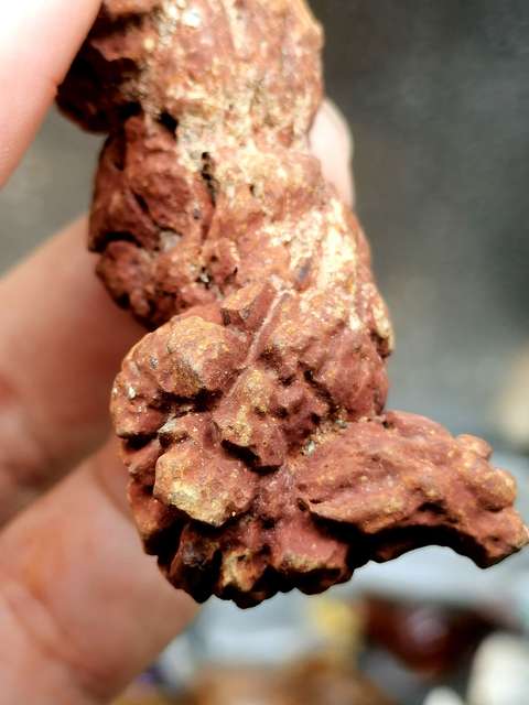 古玩雜項恐龍糞便hua石(來自幾百萬年前) 你見龍屎嗎?拍賣,當前價格0元