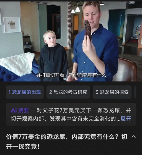 古玩雜項恐龍糞便hua石(來自幾百萬年前) 你見龍屎嗎?拍賣,當前價格0元