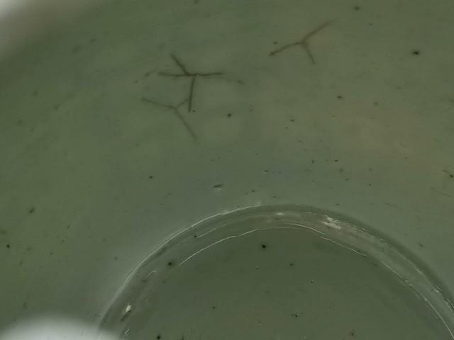 古玩陶瓷清中期纏枝花囍字青花罐(沒有蓋子)拍賣,當前價格0元