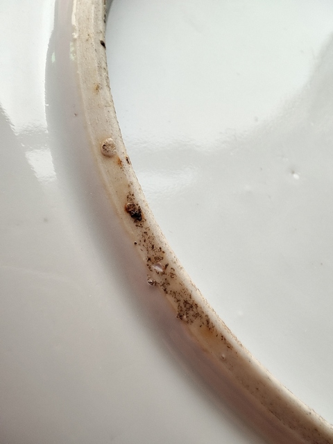 古玩陶瓷瑞獸紋粉彩盤真品鑒賞圖