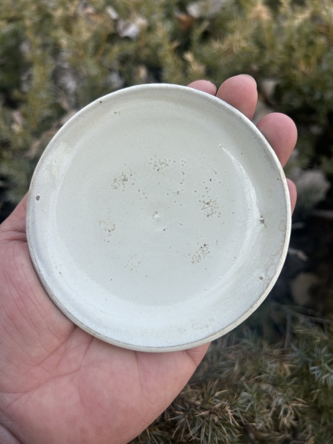 古玩陶瓷金元?磁州窯白釉盤拍賣，當前價格1300元