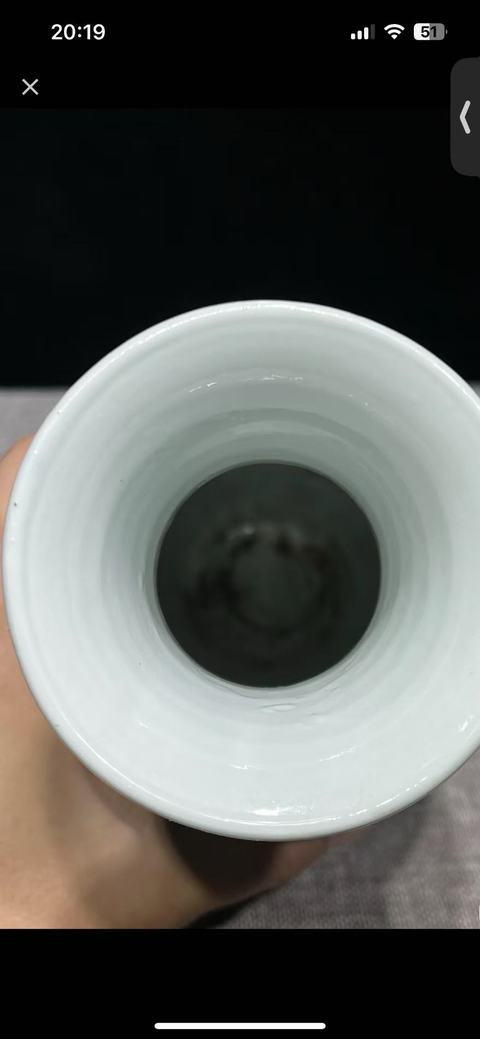 古玩陶瓷青花留白冰梅紋撇口瓶拍賣,當前價格6000元
