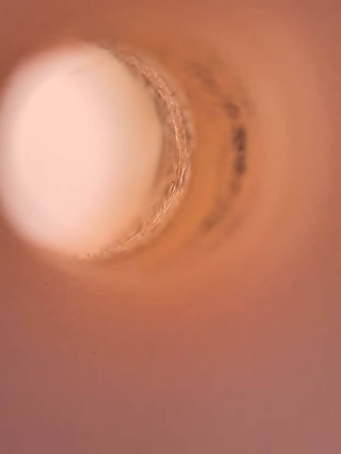 古玩玉器唐球拍賣，當(dāng)前價格25000元