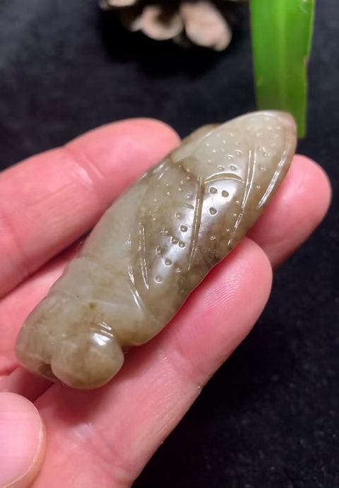 古玩玉器(一口價放漏)有年份的和田玉蟬拍賣,當前價格2800元
