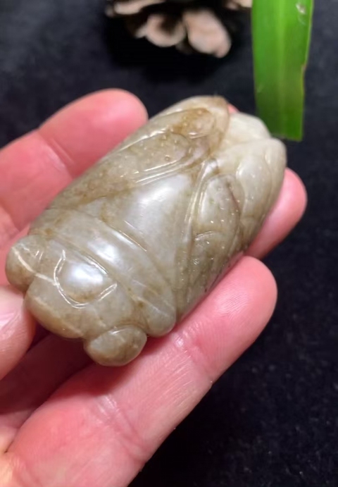 古玩玉器(一口價放漏)有年份的和田玉蟬拍賣,當前價格2800元