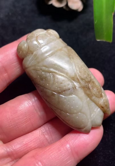 古玩玉器(一口價放漏)有年份的和田玉蟬拍賣,當前價格2800元