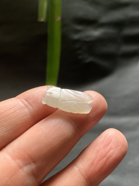 古玩玉器清代和田玉雕“蟬形掛墜”拍賣,當(dāng)前價格5000元