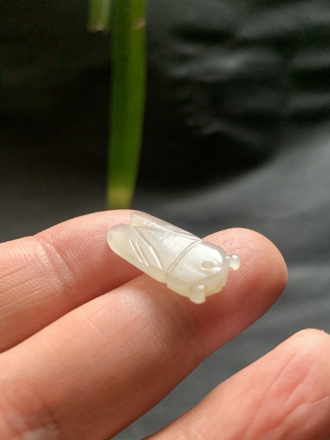 古玩玉器清代和田玉雕“蟬形掛墜”拍賣,當(dāng)前價格5000元