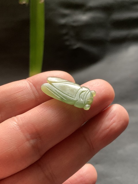 古玩玉器清代和田玉雕“蟬形掛墜”拍賣,當前價格5500元