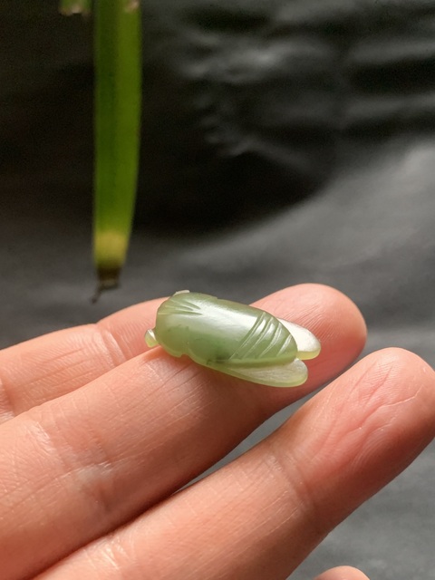 古玩玉器清代和田玉雕“蟬形掛墜”拍賣,當前價格5500元