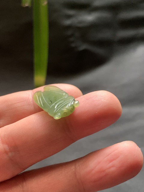 古玩玉器清代和田玉雕“蟬形掛墜”拍賣,當前價格5500元