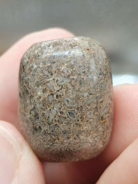 古玩雜項【珍貴藥材】6000萬年前.《龍gu》hua石珠子(轉yun珠)拍賣,當前價格0元