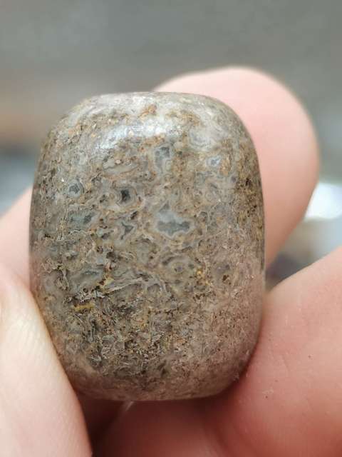 古玩雜項【珍貴藥材】6000萬年前.《龍gu》hua石珠子(轉yun珠)拍賣,當前價格0元