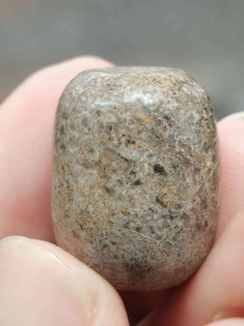 古玩雜項【珍貴藥材】6000萬年前.《龍gu》hua石珠子(轉yun珠)拍賣,當前價格0元