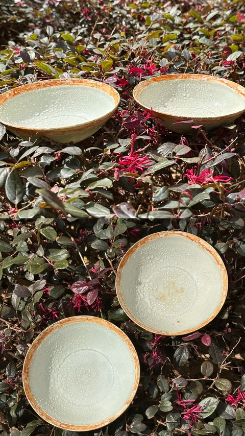 古玩陶瓷湖田窯影青釉蓖劃萱草紋面包碗(一對)拍賣,當前價格7500元