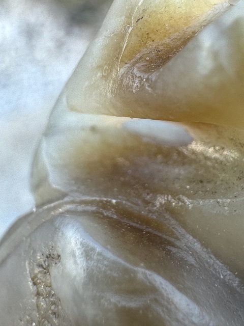 古玩雜項明代、海螺仙子（璞鑒備案）拍賣，當前價格11000元