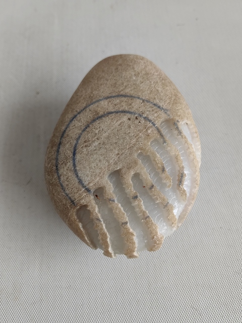 古玩玉器天然翡翠原石料拍賣，當前價格1200元