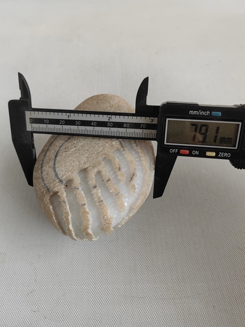 古玩玉器天然翡翠原石料拍賣，當前價格1200元