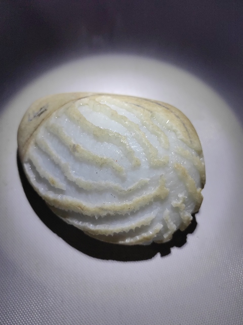 古玩玉器天然翡翠原石料拍賣，當前價格1200元