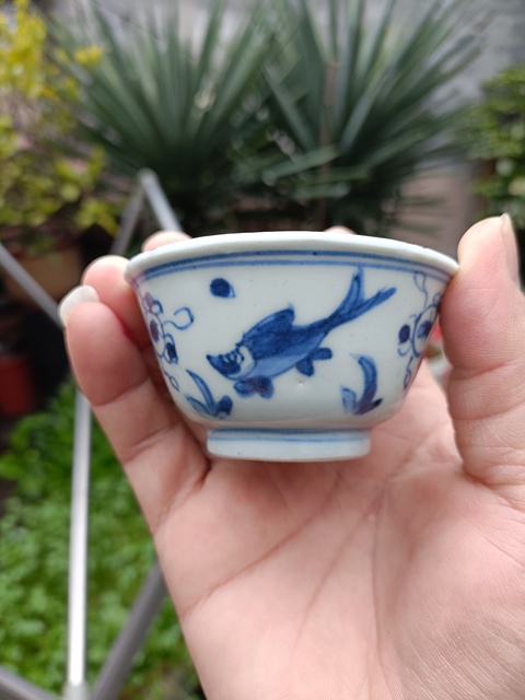 古玩陶瓷(精品主人杯)清康熙·青花魚藻紋·主人杯拍賣,當前價格998元